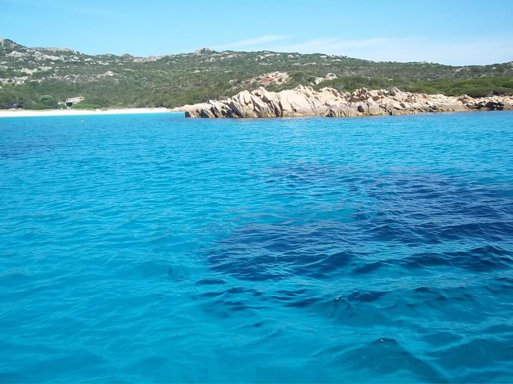 Frassetto